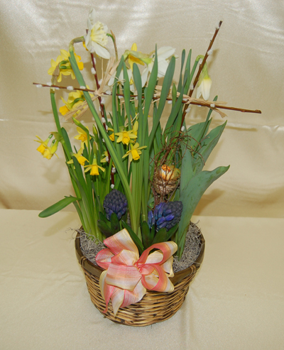 (image for) BASKET OF SPRING BULBS