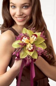 (image for) ORCHID SPLENDOR