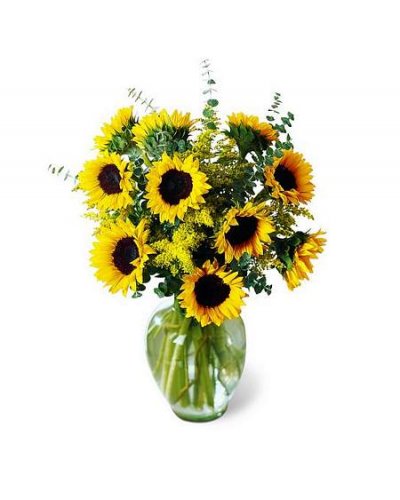 (image for) SUNFLOWER EXTRAVAGANZA