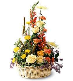 (image for) SUNSHINE SPLENDOR ARRANGEMENT