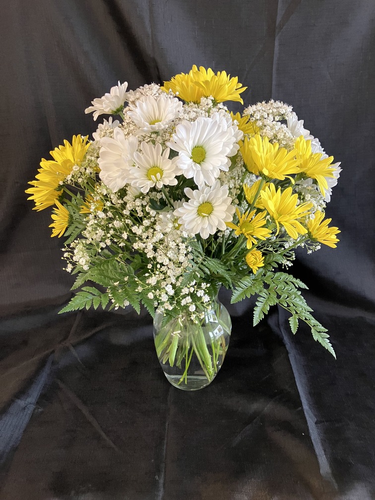 (image for) DAISIES DON'T TELL