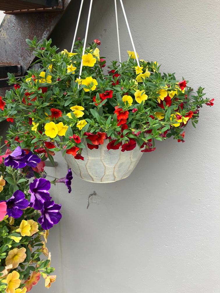 (image for) Mixed Garden Basket